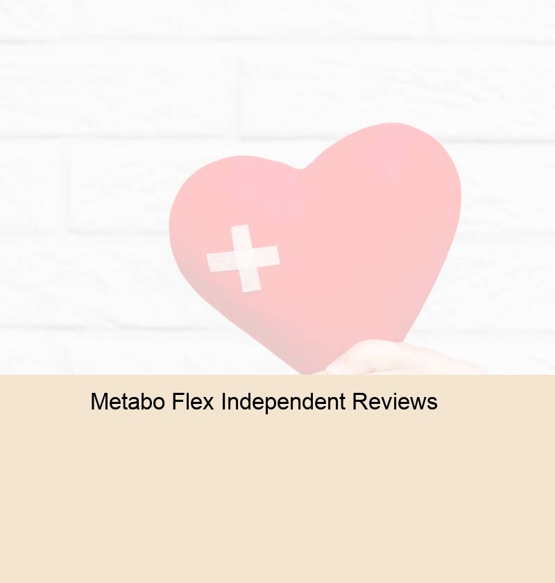 Metabo Flex Independent Review